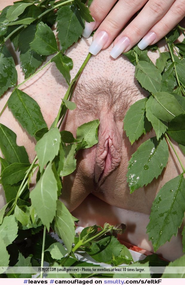 Agatha D
#camouflaged #hairy #pussy #labia among #leaves