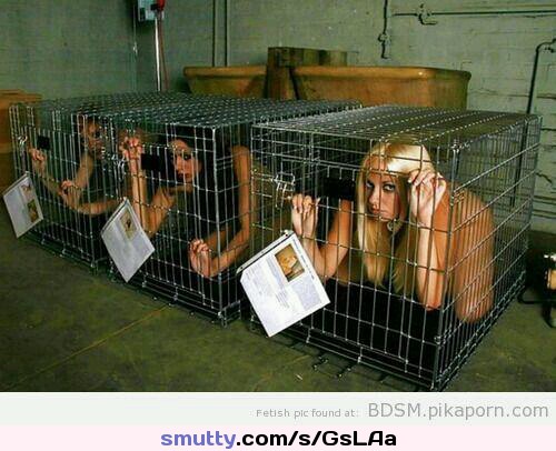 #cagedpet #cagedpet #BadSluts #whores #MasterSlave #slaveslut #slaveslut #slavegirl #slaves @sexmachine999 #blondes #maledom #Dominance