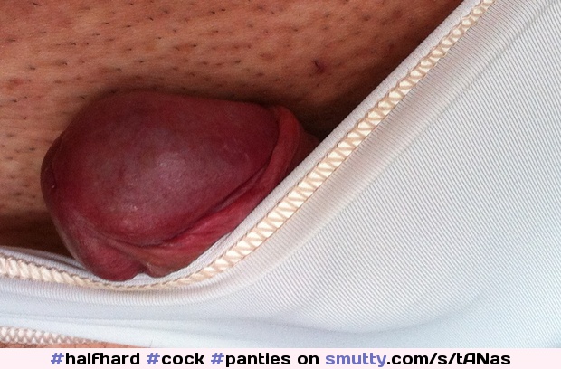 #cock #panties #cockinpanties #crossdressing #cockhead #glans #uncut #uncutcock #bulge #silky #ThrobsDailyTreat #squashed #halfhard