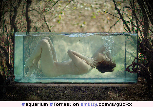 #forrest,#outdoor,#outdoornudity,#underwater,#nature,#art,#artistic,#artnude,#bubbles,#sexy,#beauty,#aquarium