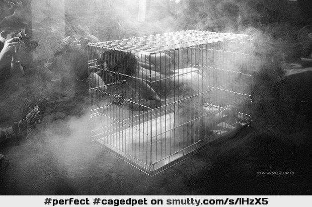 #cagedpet#caged#cage#camera#photographer#art#artistic#artnude#lightandshadow#BlackAndWhite#smoke#ass#perfect