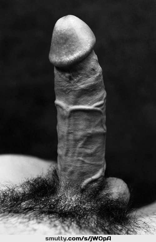An image by: storm011 - Fantasti.cc
#averagedick #nicedick #penis #cock #dick #erection #photography #BlackAndWhite