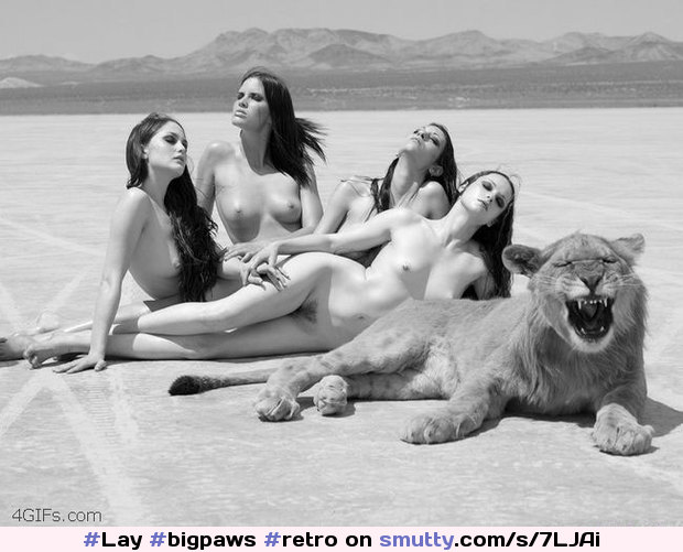#Bigpaws #retro #Classic #Nudes #Naked #Nude #Sexy #ladies #Girls #Lion #RunFromLion #DoYouSeeTheFuckingLion #Teeth #RunAway #LionDown #Lay