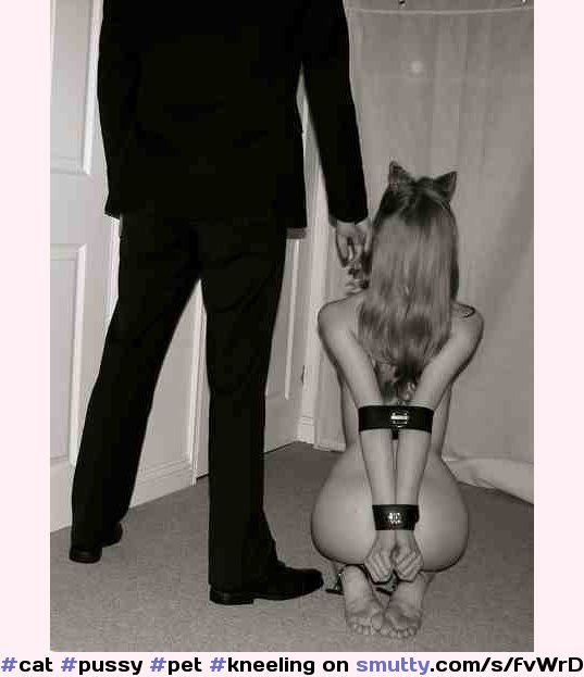#cat #pussy#cat #pet #kneeling #cmnf #slave #bound #submissive #slavemaster #newowner