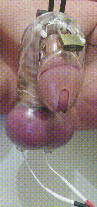 #chastity #torture #bdsm #amateur #gimp #fried #estim #electro #bullbag #lockedsub