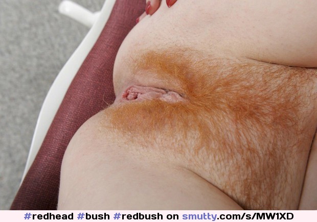 #redhead #bush #redbush #firecrotch #hairy #hairypussy