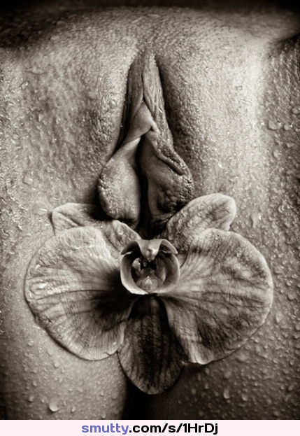 #pussylips #orchid #sepia #wet #pussy #art