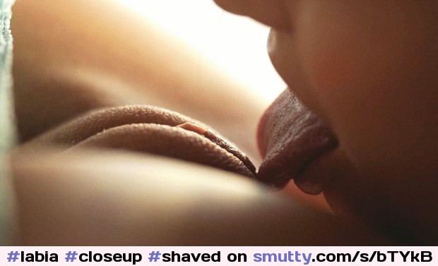 #labia#closeup#shaved#art#beautiful#puffylips#delicate#tongue#licking#tender#oral#precious#delicious#erotic#sensitive#slippery#eatingpussy