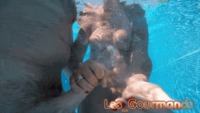 #Cumshot #underwater #slomo #femalecompletion #girlsfinishingthejob #underwatercumm #gif #pool #water