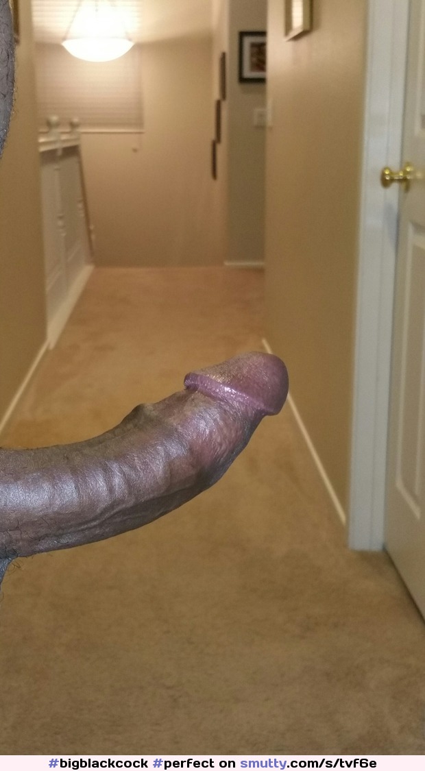 #bigblackcock#perfect#dick#male#cock#hard#BabyM#black#sweet#hard#hot