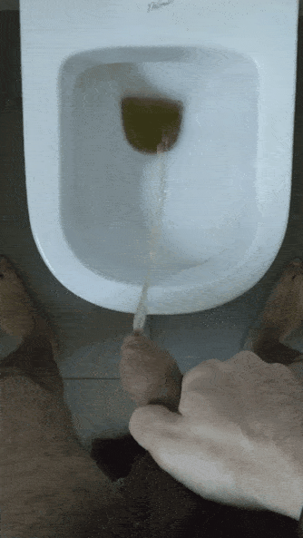 #pissing #gif #pissinggif #toilet #cock #dick #nicedick #uglydick