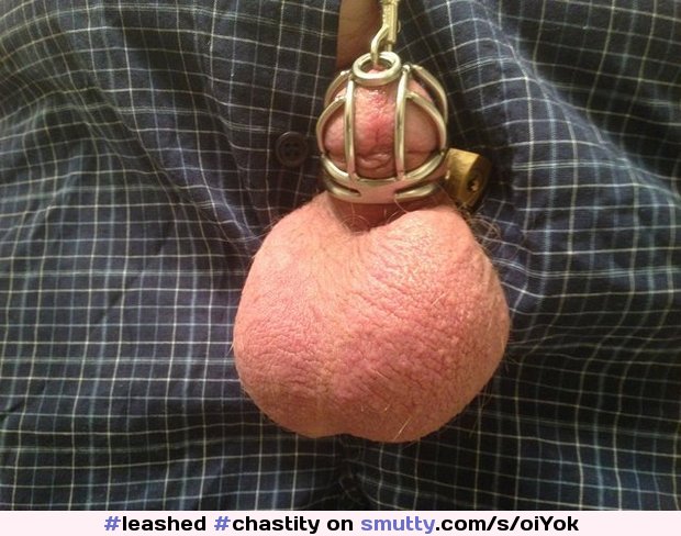 Tiny leashed cocklet
#chastity #chastitydevice #penis #tinypenis #smallpenis #chastitycage #leashed