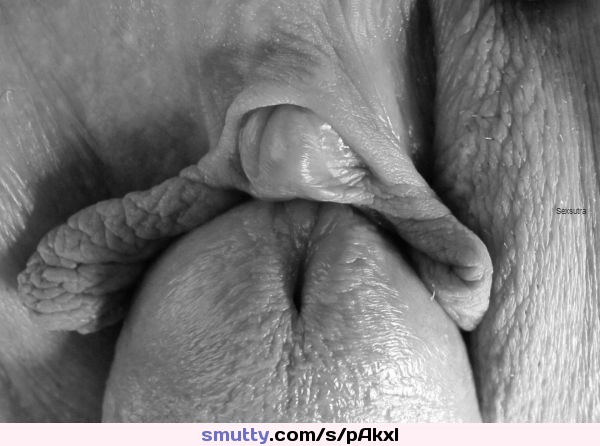 600px x 446px - cock entering pussy videos and images collected on smutty.com