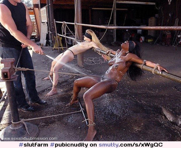 #pubicnudity #bdsm #bound #spread #MasterSlave #used #hosed #boobs #pussy #humilation #sensual