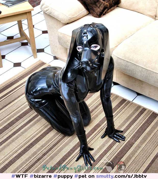 #bizarre #puppy #pet #slave #petgirl #slavegirl #latex #rubber #gag #hood #mask #humilation #costume