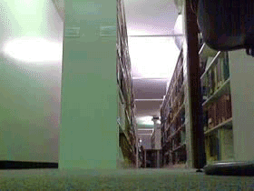 #gif #walking #library #public #removingclothes #topoff #flashing #exhibtionism