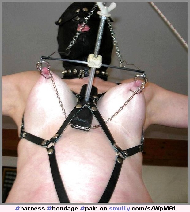 An image by: ludvig - #bondage #pain #mask #piercings #torture #bdsm #harness
