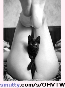 #legsup #kitty #legs #curious #sexy