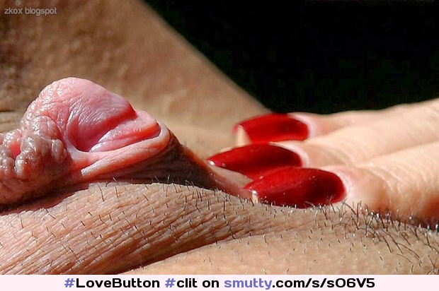 Closeup Erect Clitoris : #clit #closeup #amazing #erect #nails #hugeclit #pink #pussy #erotic #sensual #zkox #unshaved #sexy #hot #pussylips