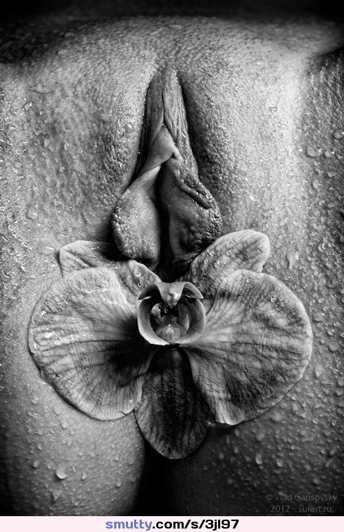 #art#artistic#artnude#lightandshadow#BlackAndWhite#pussy#pussylips#flower#wet#goosebumps#sexy#beauty#attractive#gorgeous#seductive#perfect