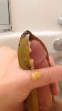 Guy masturbates with a banana in the tub. #masturbation #jackingoff #jackoff #banana #food #messy #tub #tubtime #cum