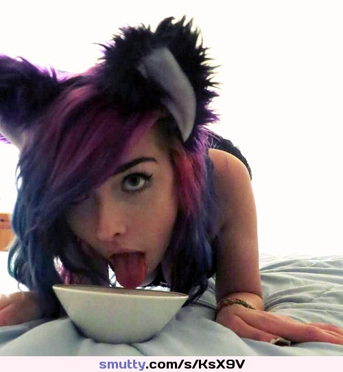 #kitten #cat #pet #petplay #neonhair #submissivepet #goodgirl #onherknees #milk #drinkingmilk #catears #submissive