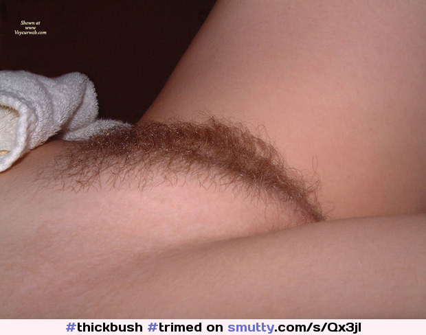#thickbush #trimed #trimmedpussy #trimmedpubes #trimmedbeaver