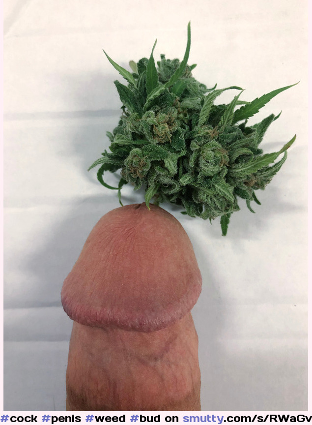 Cock Penis Weed Bud Mushroomhead