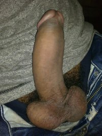 Indian Cock Pictures