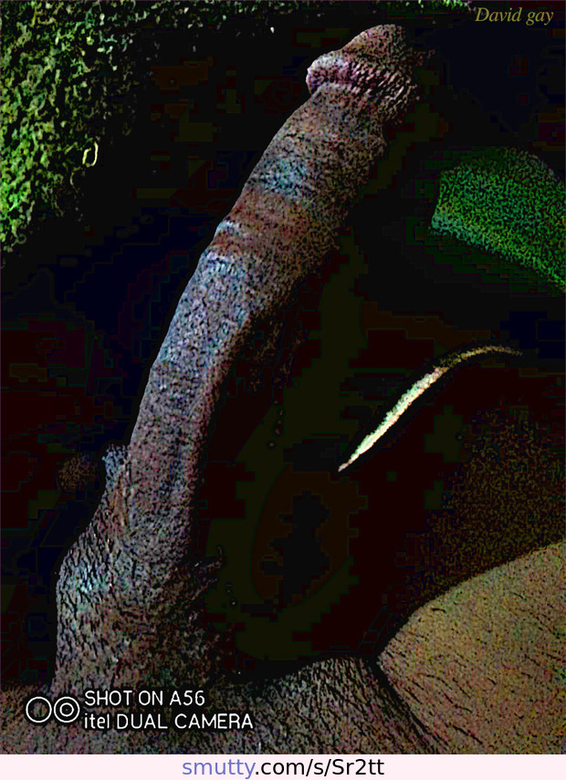 cock, male, bigcock