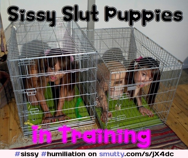 #sissy #humiliation #puppyplay
