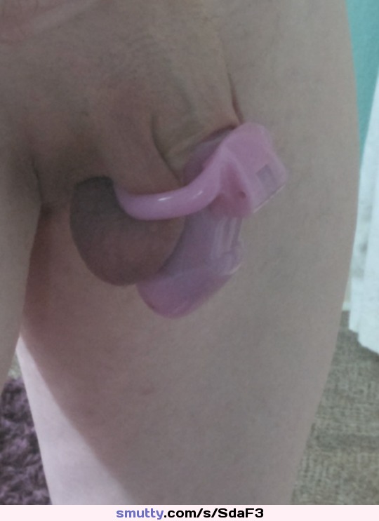 #cagedcock #sissy #chastity #smalldick #trap