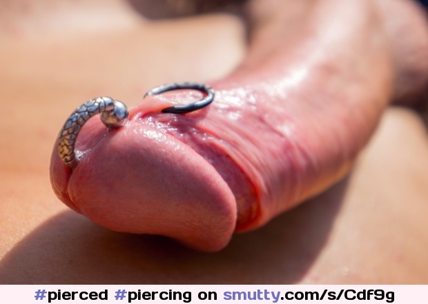 #pierced #piercing #princealbert #pa #frenum #uncut #hard #dick #cock #closeup