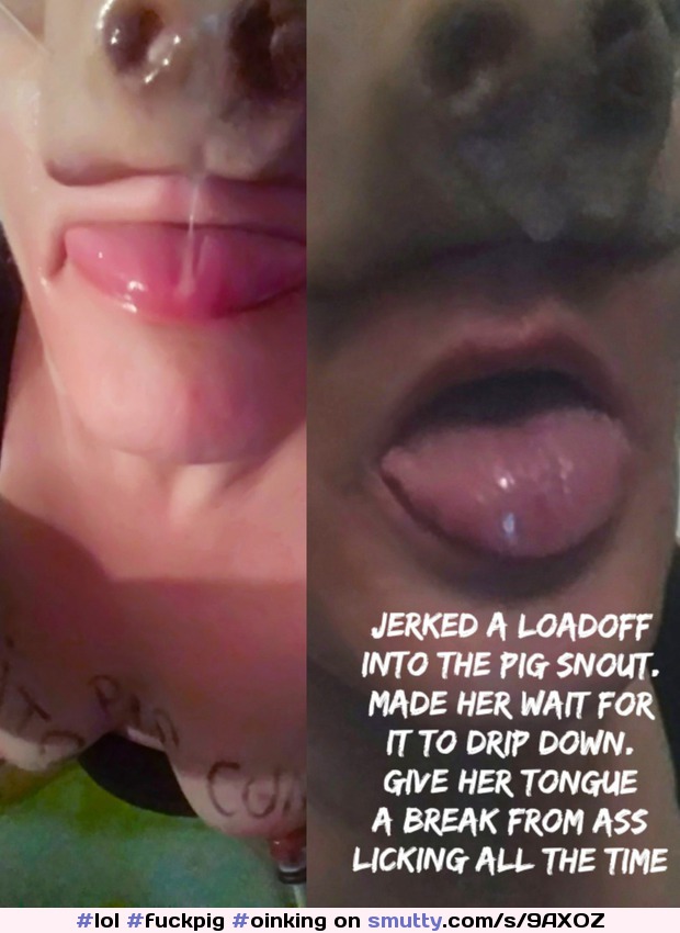 Torturing the pigtard #lol #fuckpig #oinking #cumslut #facecunt #slutniece #pigsnout #pathetic #facial #cumeating #bitch #smalltits #noshame
