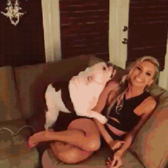 #funny #blonde #hotlegs #canine #knotted
