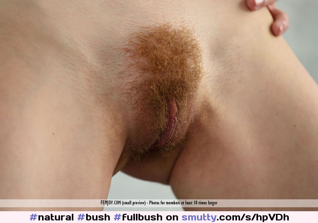 #natural #bush #fullbush #gingerbiscuit #hairypussy #pussyhair