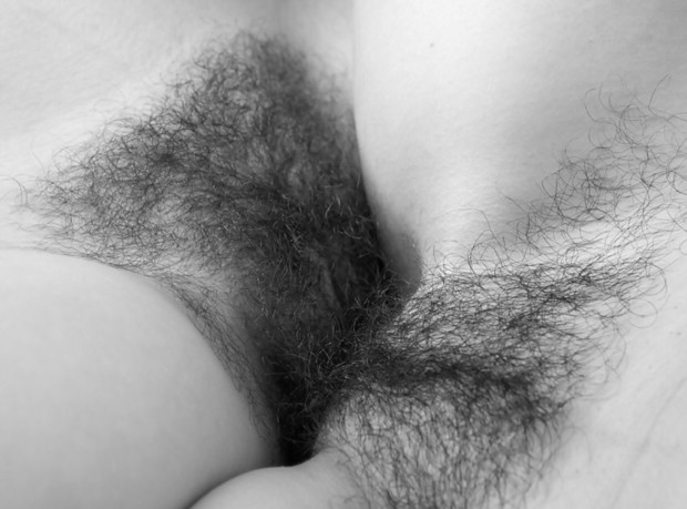 #longtimegone #babe #babealicious #Hairypussy #hairpie #furburger #hairycunt #pussy #pussytimestwo #pussytopussy #twocunts #twopussies