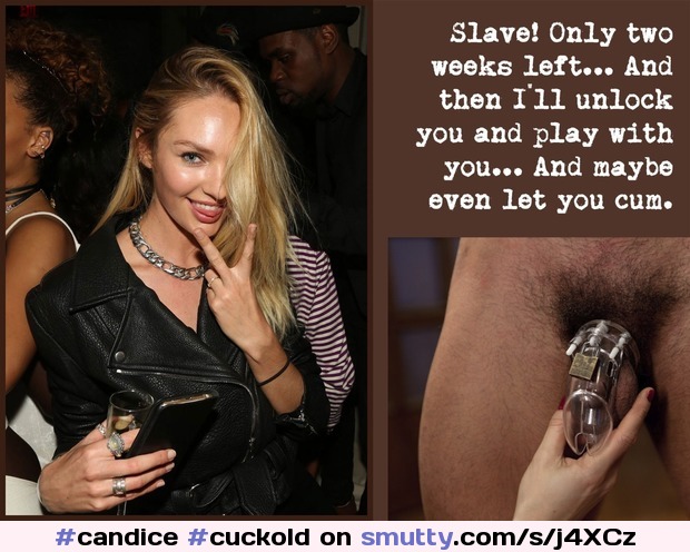 #candice #cuckold #femdom #BBC #beauty #chastity #cage #swanepoel
