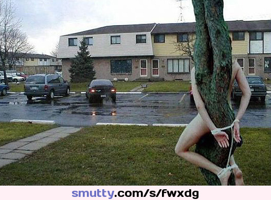 #CompletelyNaked #handsbehindback #tiedtoatree #PublicNudity #outdoors #pussyexposed #predicament