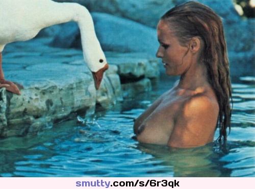 #UrsulaAndress#celebrititties#wtf#whattheduck#duckduckgoose#waterlookscold#mediumtits#wet