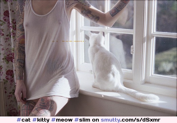 #cat #kitty #meow #slim #tattoo #tattoos #tattooed #seethrough #nipples #smalltits #smallboobs #smallbreasts