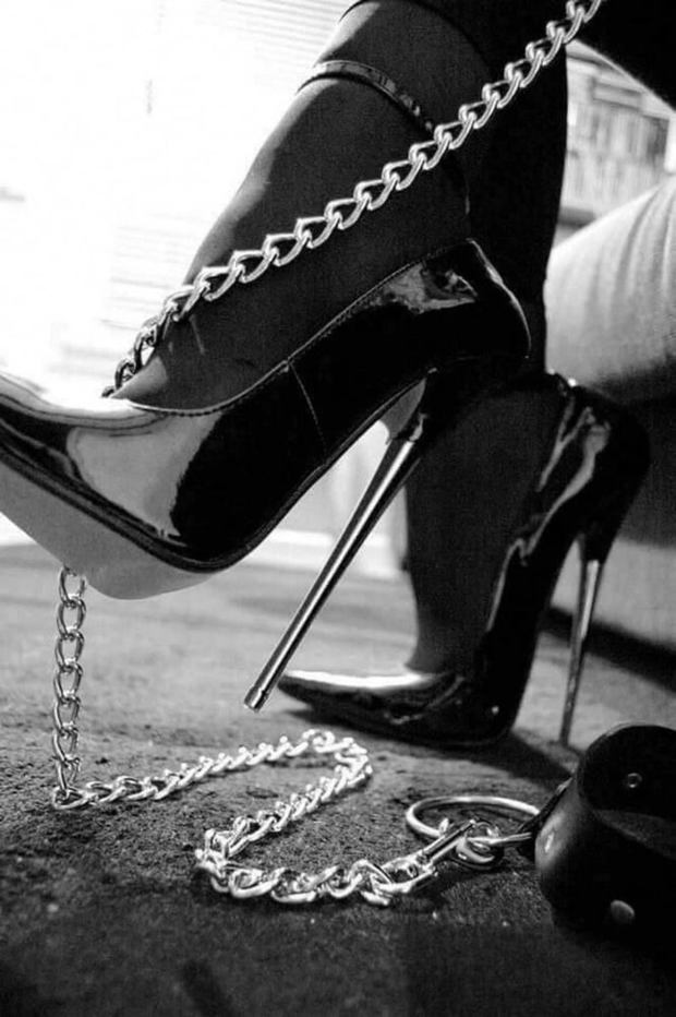 #femdom #heels #stilettos #leash #collar