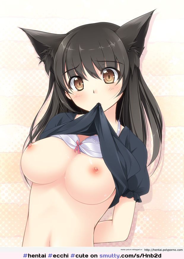 Hei Hentai Ecchi Cute Catgirl Shirtup Braup Innocent Busty