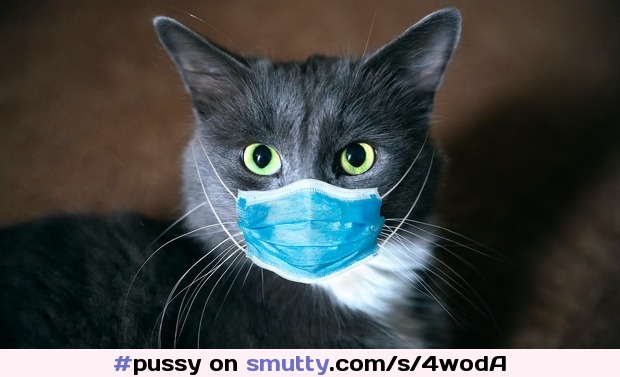 #pussy  Smutty is un-fucking-usable now with so many pop ups and ads - ahhh. Goodbye