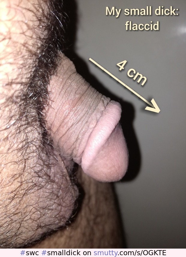 my small dick! #swc #smalldick #littledick #circumcised #cum #precum #flaccid #semihard #hard