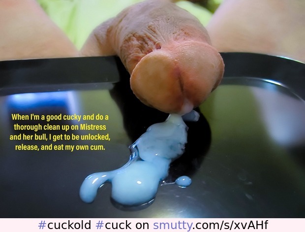 #cuckold#cuck#cuckoldcaption#cuckoldcaptions#cuckoldfantasy