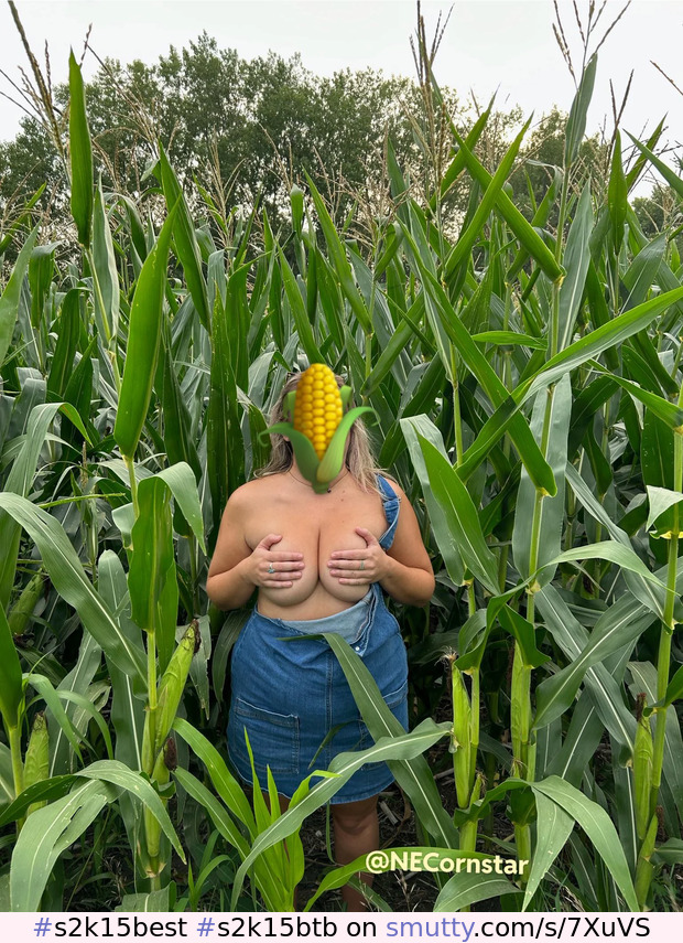 #s2k15best #s2k15btb #public #flash #tits #cornfield #corn #overalls