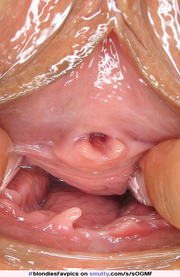 Vagina Pussy Spreadopenpussy Urethra Pov Closeup My Xxx Hot Girl