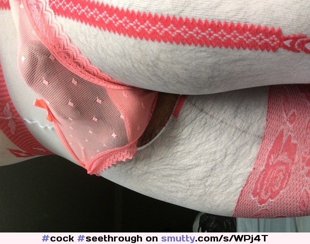 #cock #seethrough #panties #CockInPanties #crossdresser #cd #SheerPanties #CockInLingerie #HardCock  #bulge #pantybulge #ThrobsDailyTreat