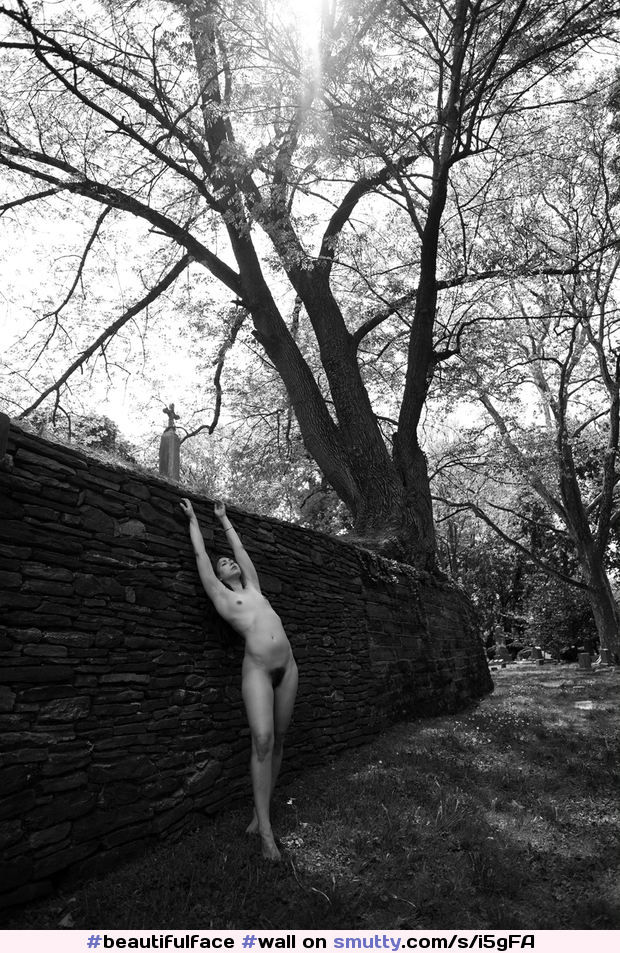 #wall#Tree#cemetery#hairypussy#outdoor#outdoornudity#photography#art#artistic#artnude#lightandshadow#BlackAndWhite#MorningLight#morning#babe